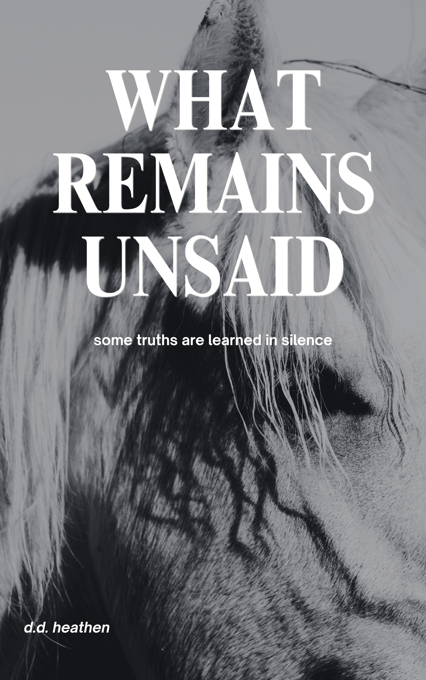 What Remains Unsaid