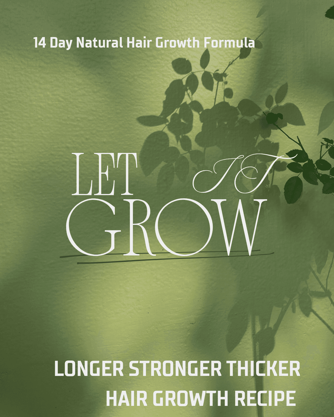 Let It Grow 14 Day Natural Hair Growth Formula